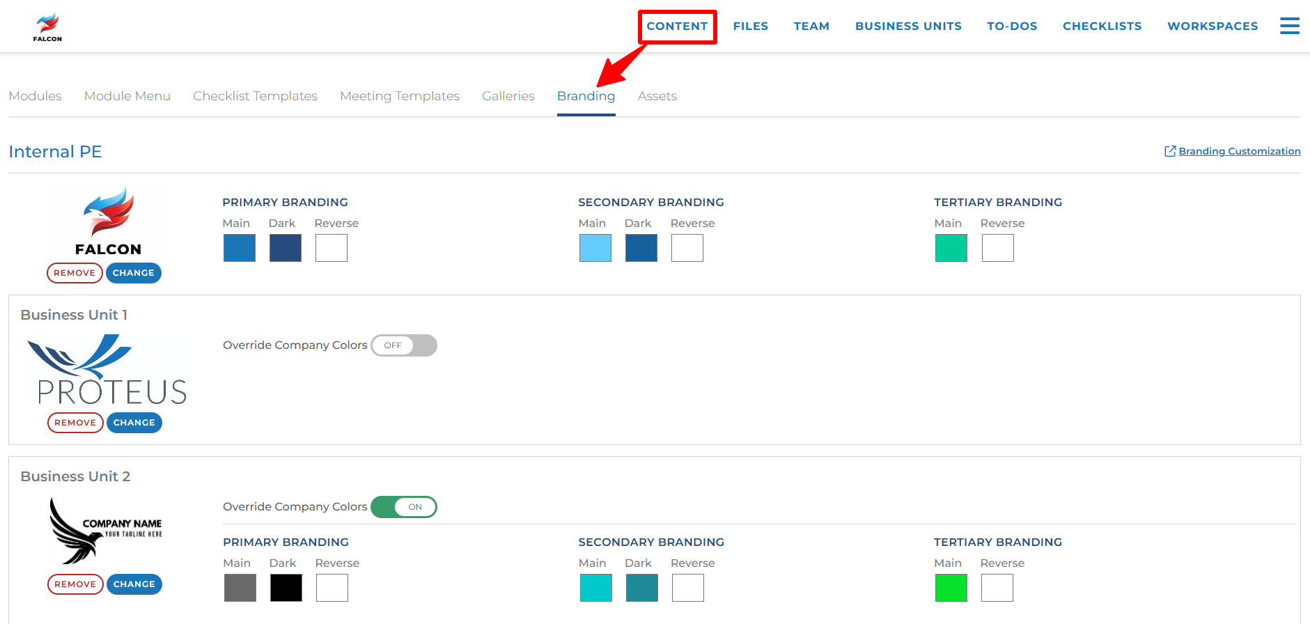 Content Management Branding tab.png