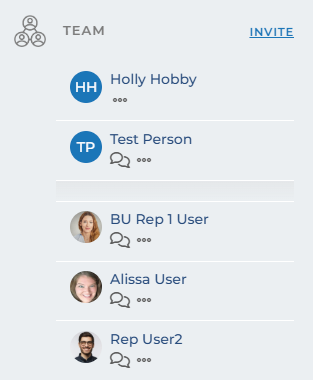 Team section of live view.png